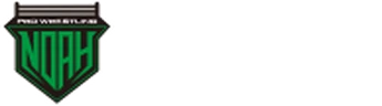 Pro Wrestling NOAH