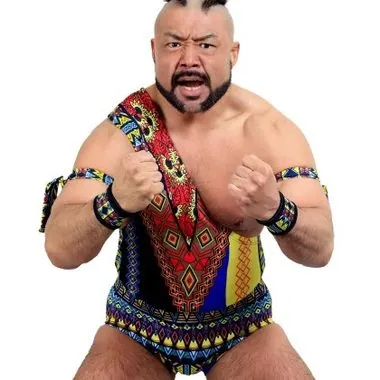 Manabu Soya征矢学