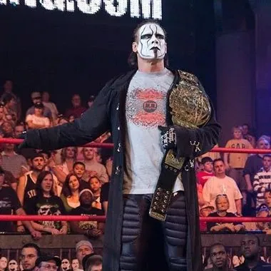 Sting斯汀