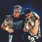 New Age Outlaws (Road Dogg & Billy Gunn)新时代亡命徒