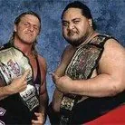 Owen Hart & Yokozuna欧文·哈特 & 横纲