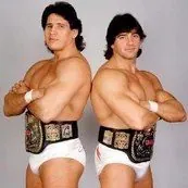 Strike Force (Rick Martel & Tito Santana)