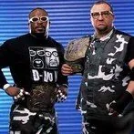 The Dudley Boyz (Bubba Ray & D-Von Dudley)达德利男孩