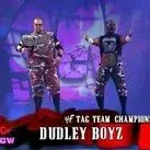 The Dudley Boyz (Bubba Ray & D-Von Dudley)达德利男孩