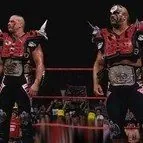 The Legion of Doom (Hawk & Animal)